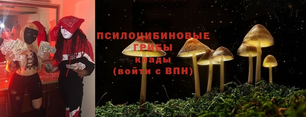 стаф Корсаков