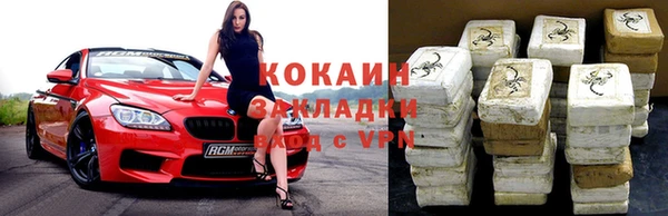 стаф Корсаков