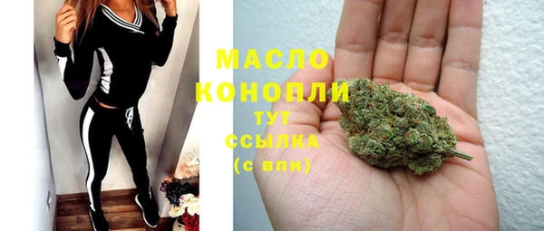 стаф Корсаков