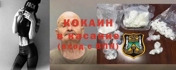 индика Коряжма