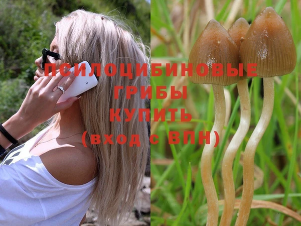 прущая мука Костерёво
