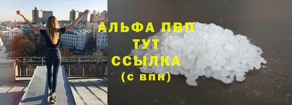 индика Коряжма