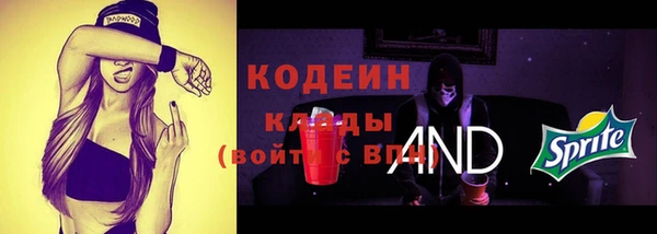 стаф Корсаков