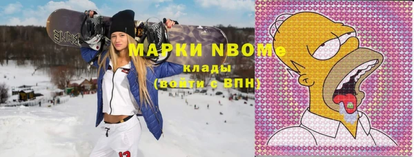 стаф Корсаков