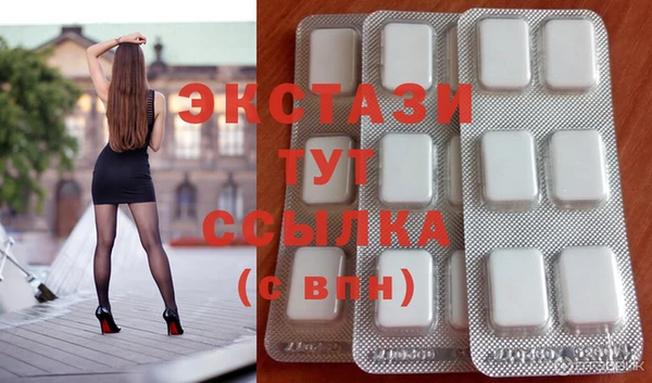 индика Коряжма