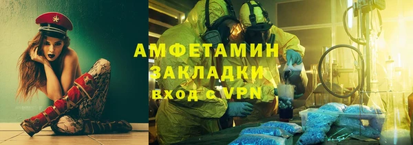 индика Коряжма