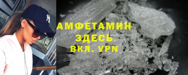 индика Коряжма