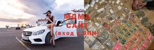 стаф Корсаков