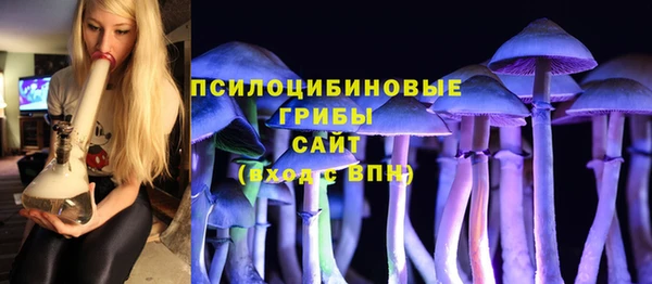стаф Корсаков