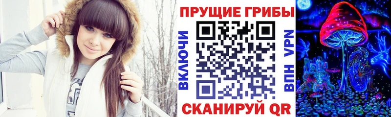 Купить  Новозыбков  Галлюциногенные грибы мицелий 